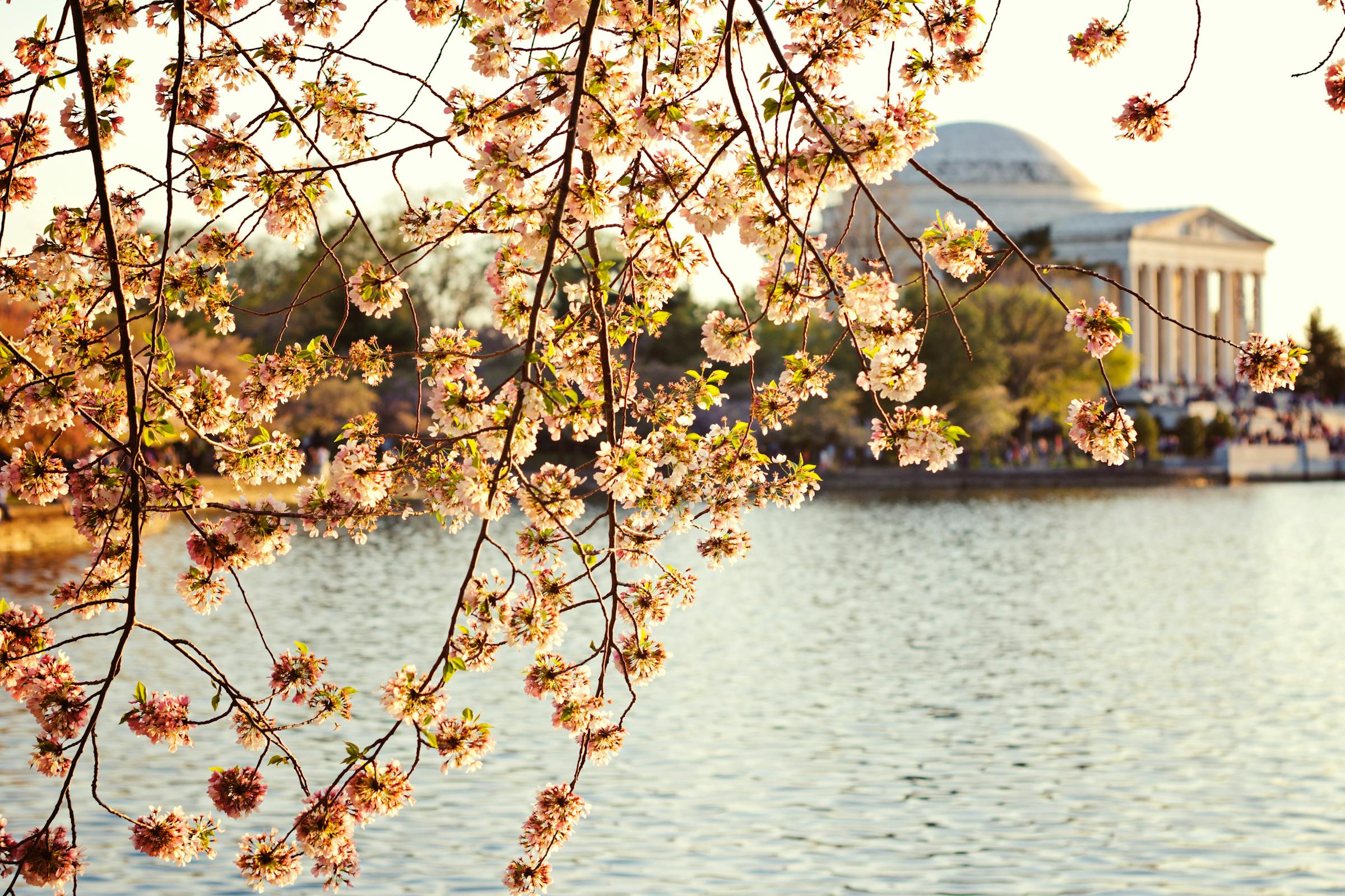 Kyoto & Osaka, Japan